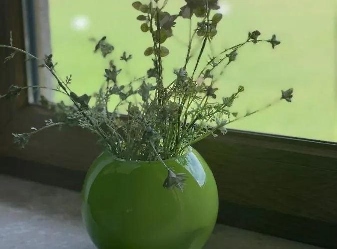 Apartament Fam.werner Wasungen